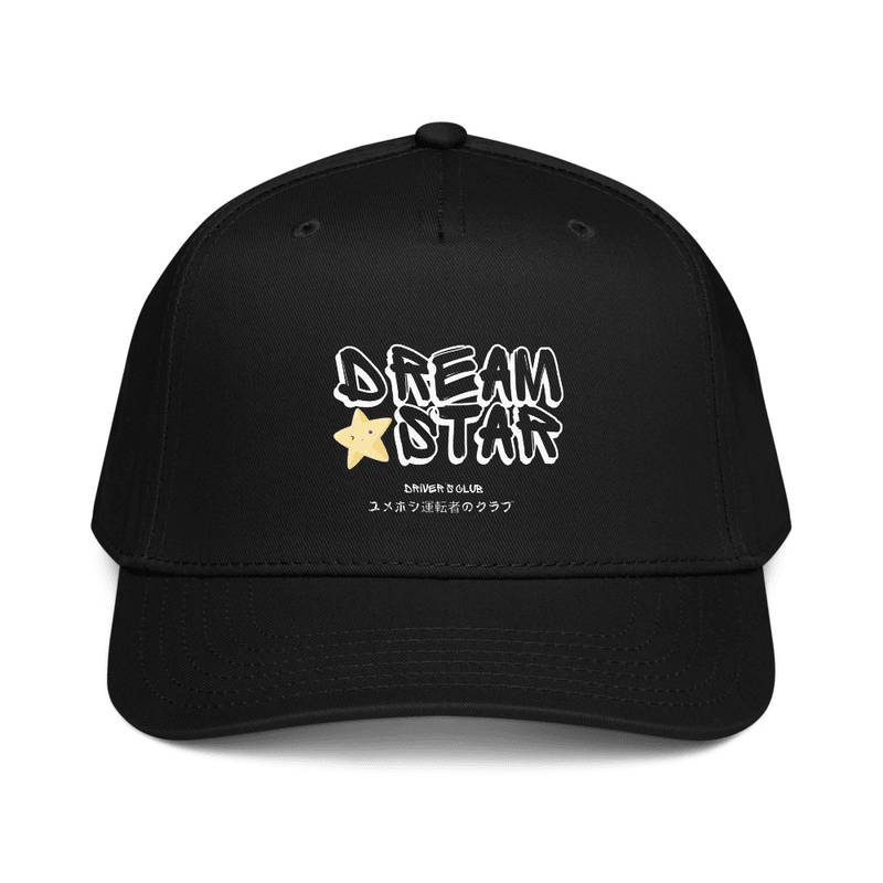 DS 5 panel cap — view 1